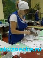 Закончился конкурс профессионального мастерства в Кузнецком многопрофильном колледже.