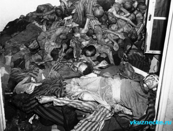 . Мертвые тела лежат у стены крематория в немецком концентрационном лагере в Дахау, Германия. Тела были обнаружены американскими войсками Седьмой армии, которые захватили лагерь 14 мая 1945 года.jpg