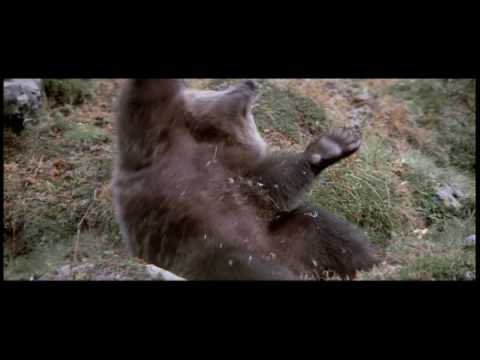 The Bear (Final Scene) Bear vs Cougar